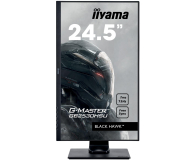 iiyama G-Master GB2530HSU Black Hawk - 430746 - zdjęcie 4